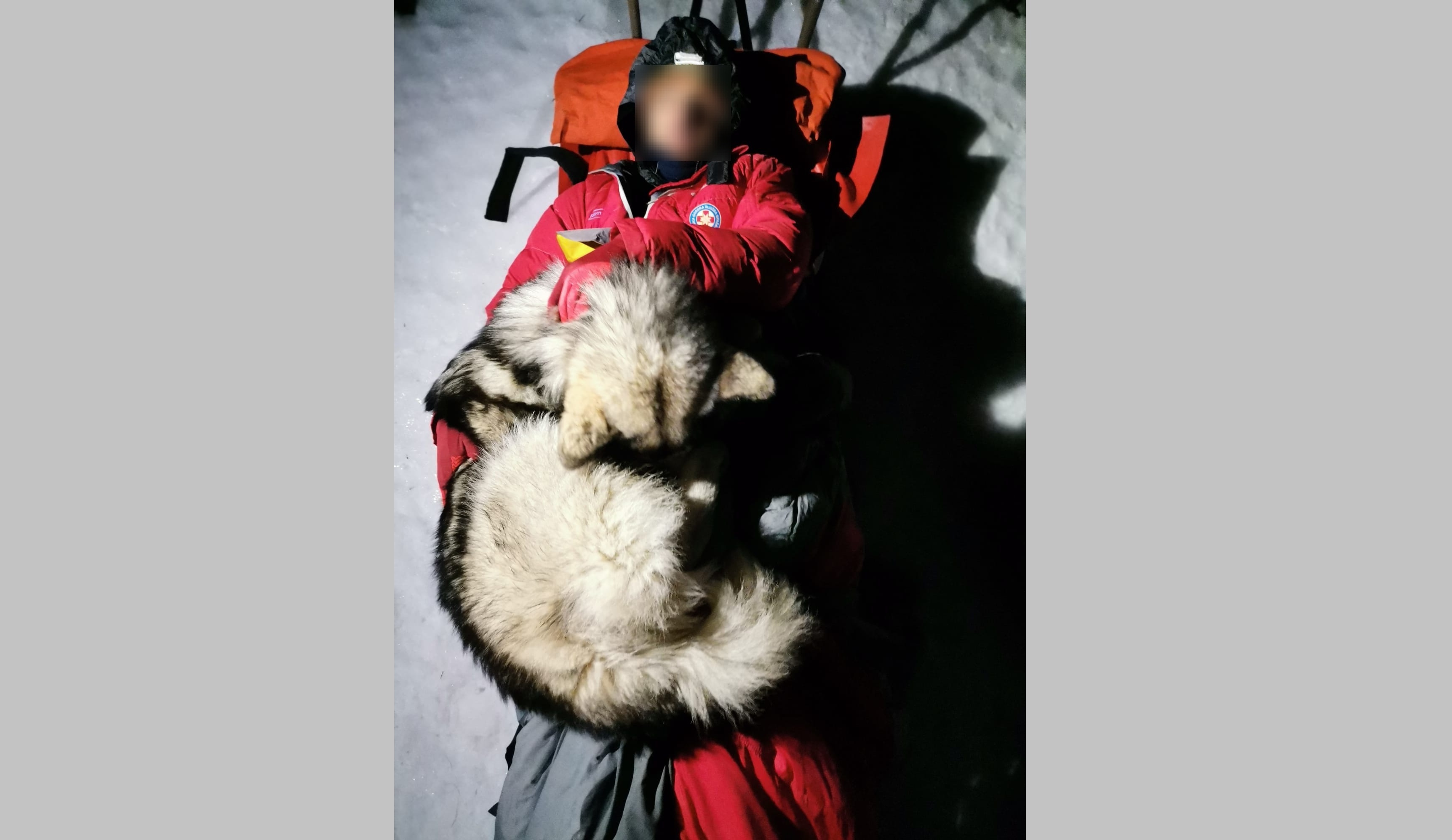 Un câine a salvat viaţa unui excursionist rănit, după ce a stat 13 ore deasupra lui pentru a-l încălzi