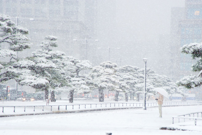 Snow in Tokyo, Japan - 06 Jan 2022