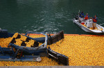 Windy City Rubber Ducky Derby in Chicago