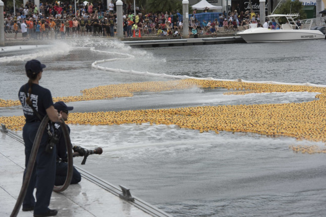 Duck Derby in Fort Lauderdale.