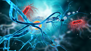 3d illustration of nerve cells and viruses