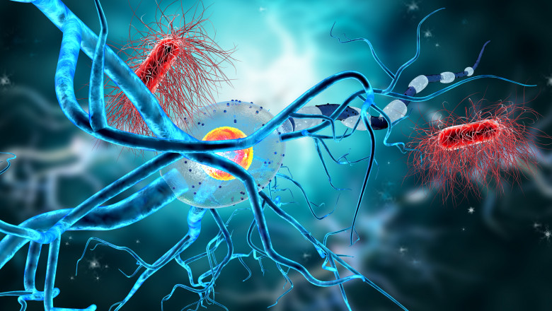 3d illustration of nerve cells and viruses