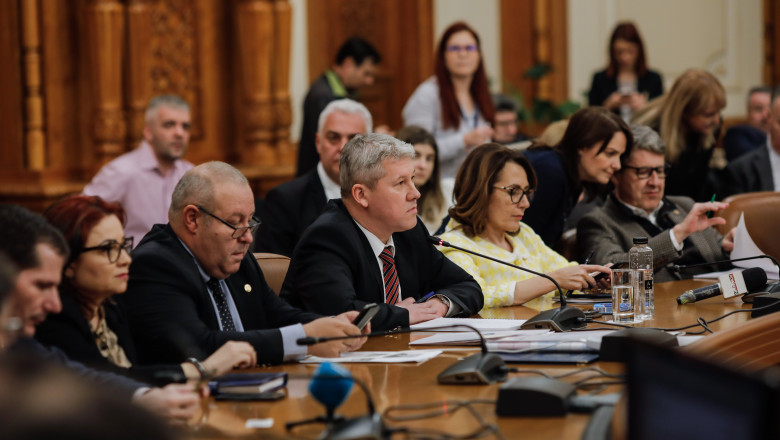 BUCURESTI - PARLAMENT - AUDIERE MINISTRII - CABINET FLORIN CITU