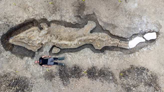 Remains Of Britainâ€™s Largest Sea Dragon Found In Rutland, UK