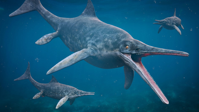 Ichthyosaur stenopterygius, large extinct marine reptiles from Early Triassic to Late Cretaceous, 3d science rendering