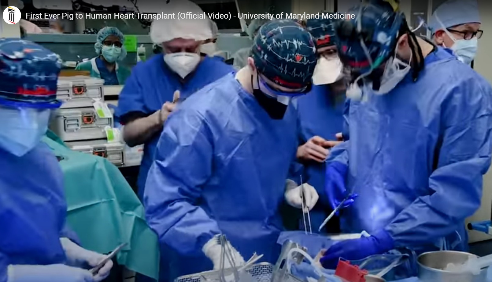 Transplant în premieră mondială. Un american a primit o inimă de porc: "Aveam de ales fie moartea, fie acest transplant"