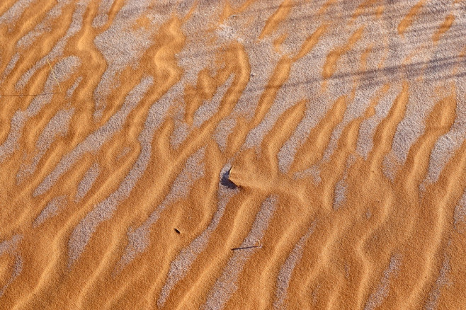 deșertul Sahara