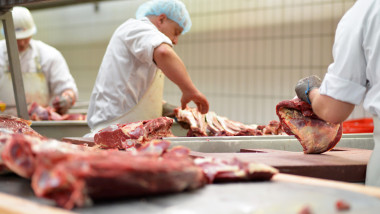 muncitori intr-un abator transeaza carnea