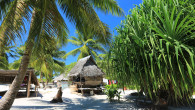 Plajă însorită în Kiribati