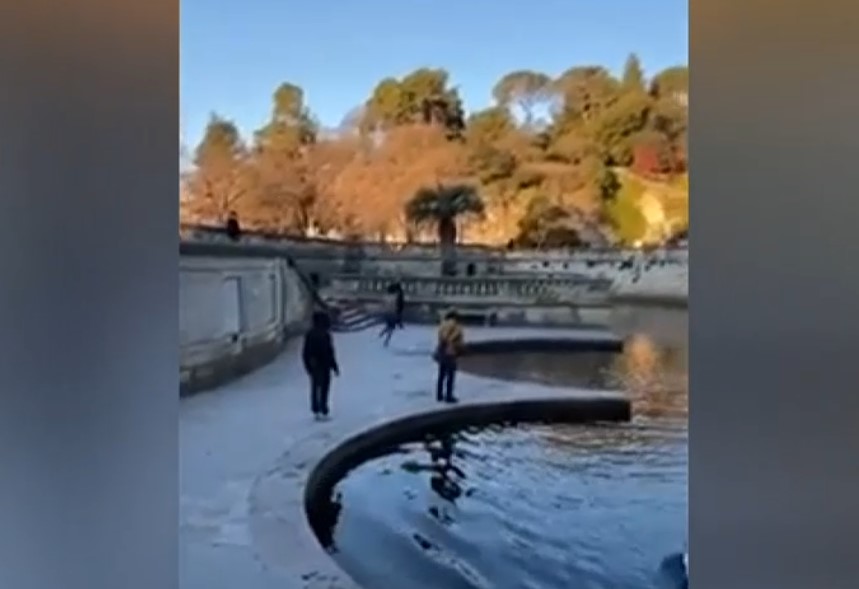 VIDEO. Un tânăr care s-a aruncat într-un lac a fost atacat de o lebădă nervoasă