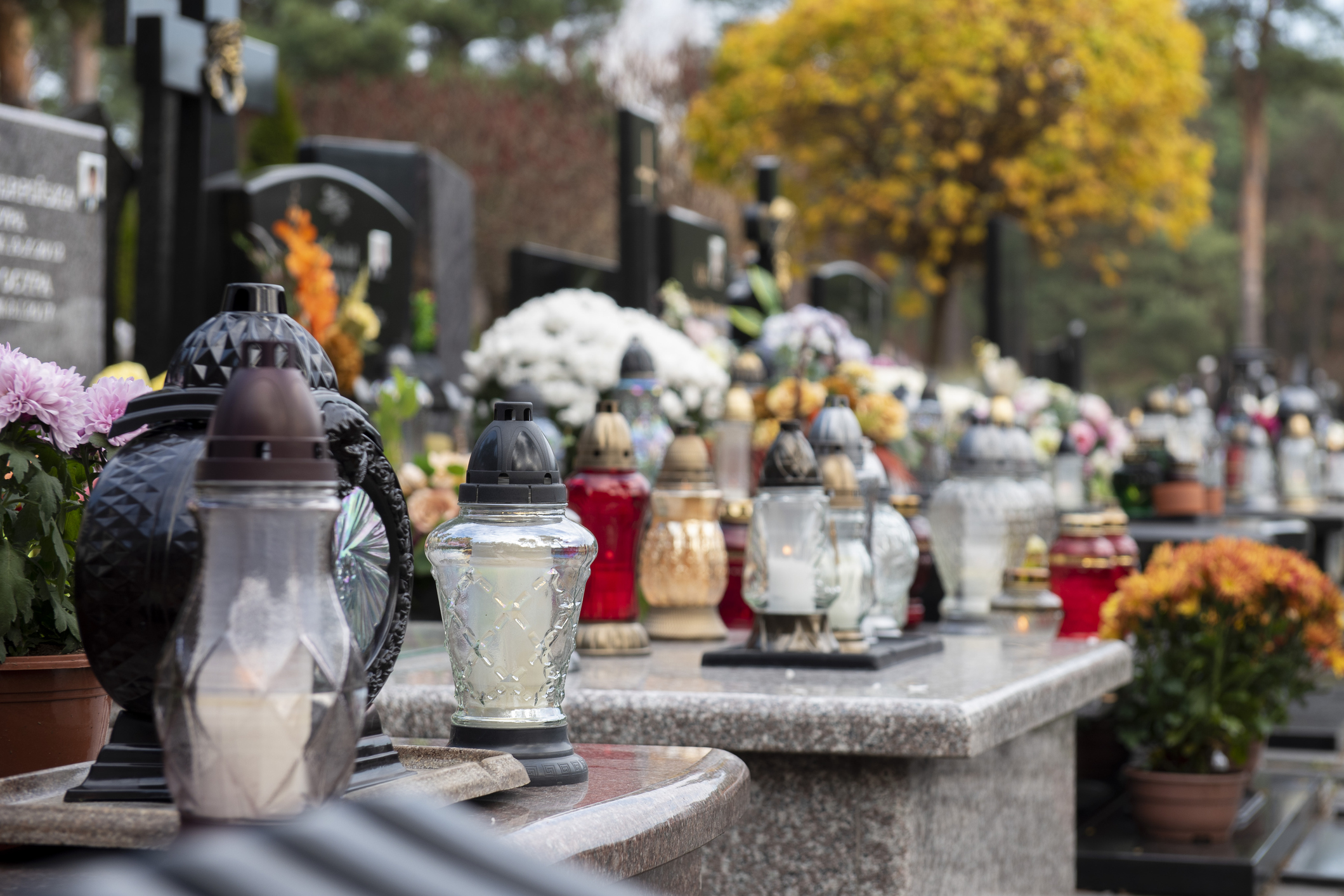Cazul care le dă fiori australienilor. Din cimitirul din Melbourne au început să se fure capete umane