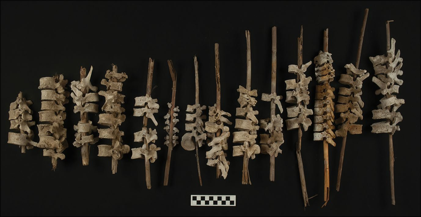 Aproape 200 de coloane vertebrale umane trecute prin țepuse de lemn au fost descoperite în Peru