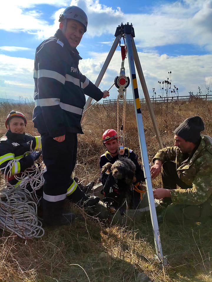 Un cățel din Hunedoara a căzut într-un puț adânc de 12 metri, iar 5 pompieri s-au chinuit să-l salveze