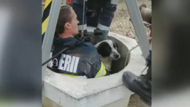 Câine căzut într-o fântână, la 27 de metri adâncime, salvat de pompierii prahoveni