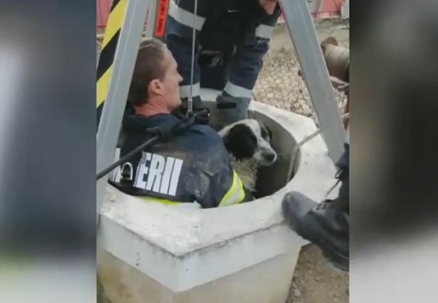 VIDEO. Câine căzut într-o fântână la 27 de metri adâncime, salvat de pompierii prahoveni