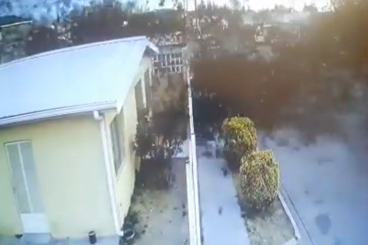 VIDEO. Imagini de coșmar în Mexic. Momentul în care un stol de păsări se prăbușește brusc la pământ