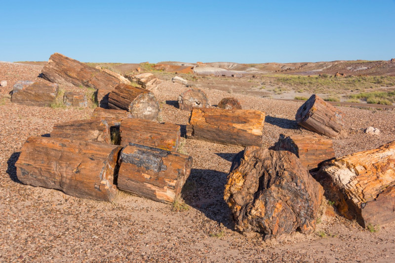 Petrified Forest National Park, Arizona, USA