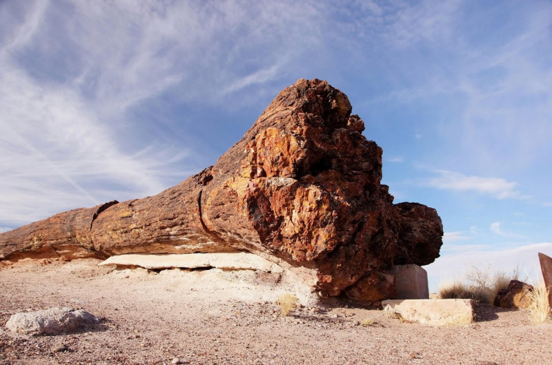 Petrified Forest, fossilized trees, national park, Arizona, , versteinerte Baeume, Nationalpark
