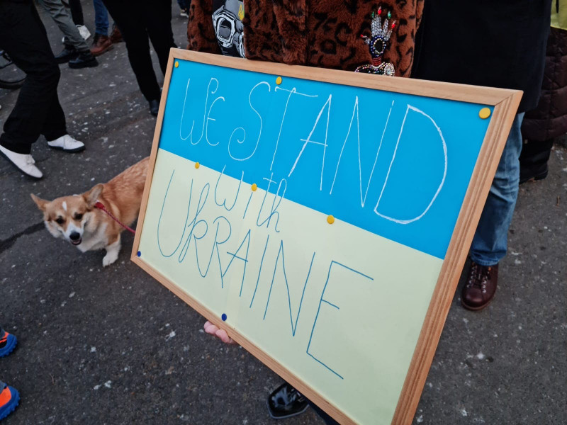 manif rrusia romania 6