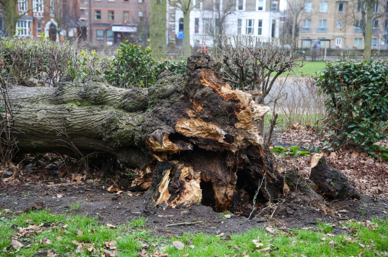 Damage caused by Storm Eunice could cost more than Ł360 million, London, UK - 19 Feb 2022