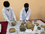 Artefecate și rămășițe umane excavate de arheologi în Peru