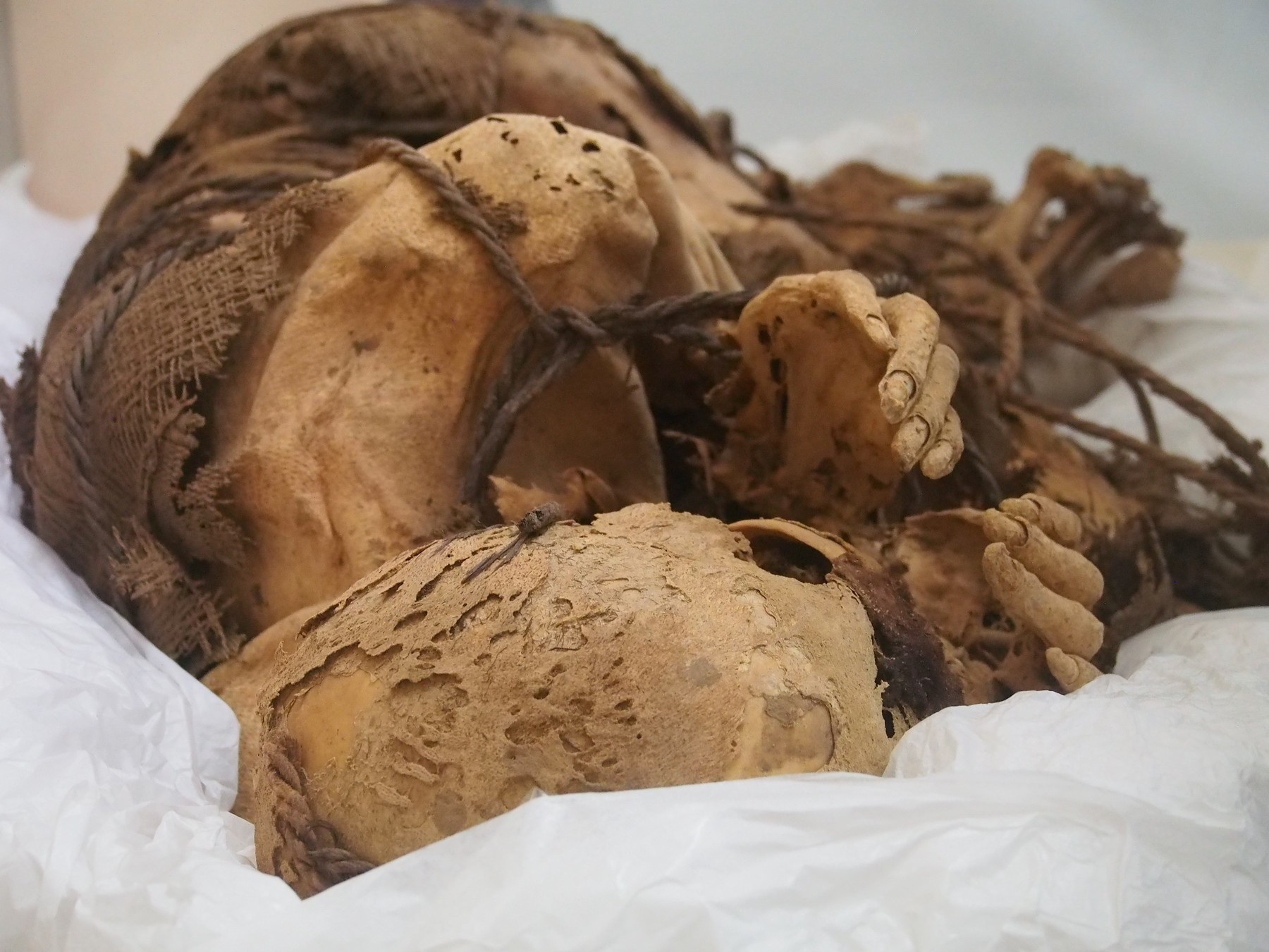 Rămășițele unor copii și adulți sacrificați acum mai bine de 1.000 de ani au fost descoperite de arheologi în Peru