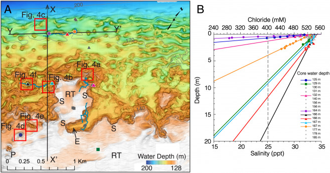 pnas.2119105119fig05