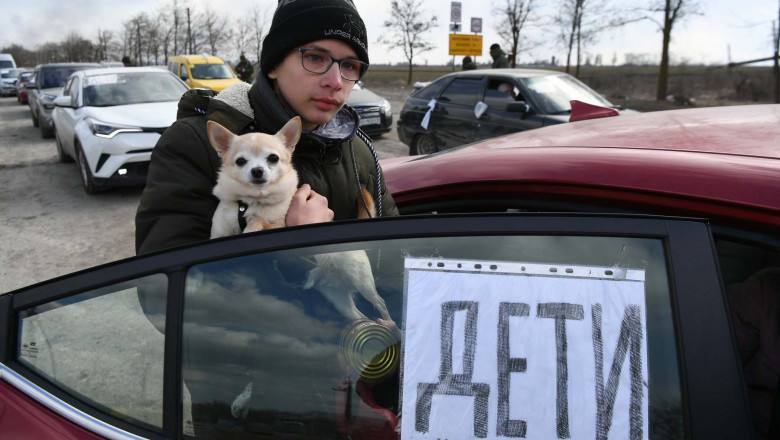 A boy with a dog stands near a car with a placard reading "children" as he leaves Mariupol