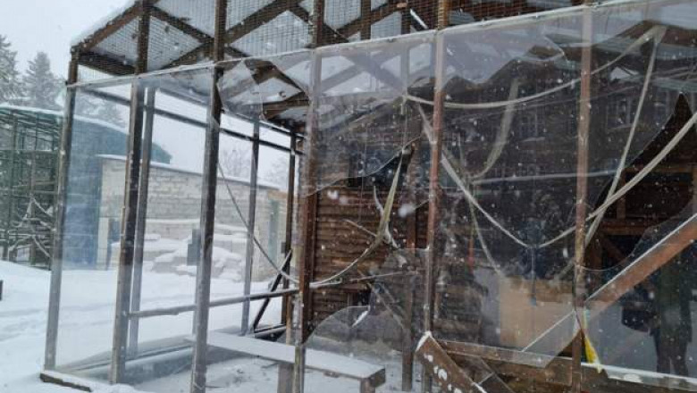 adăpost cu geamuri sparte la grădina zoologica din harkov