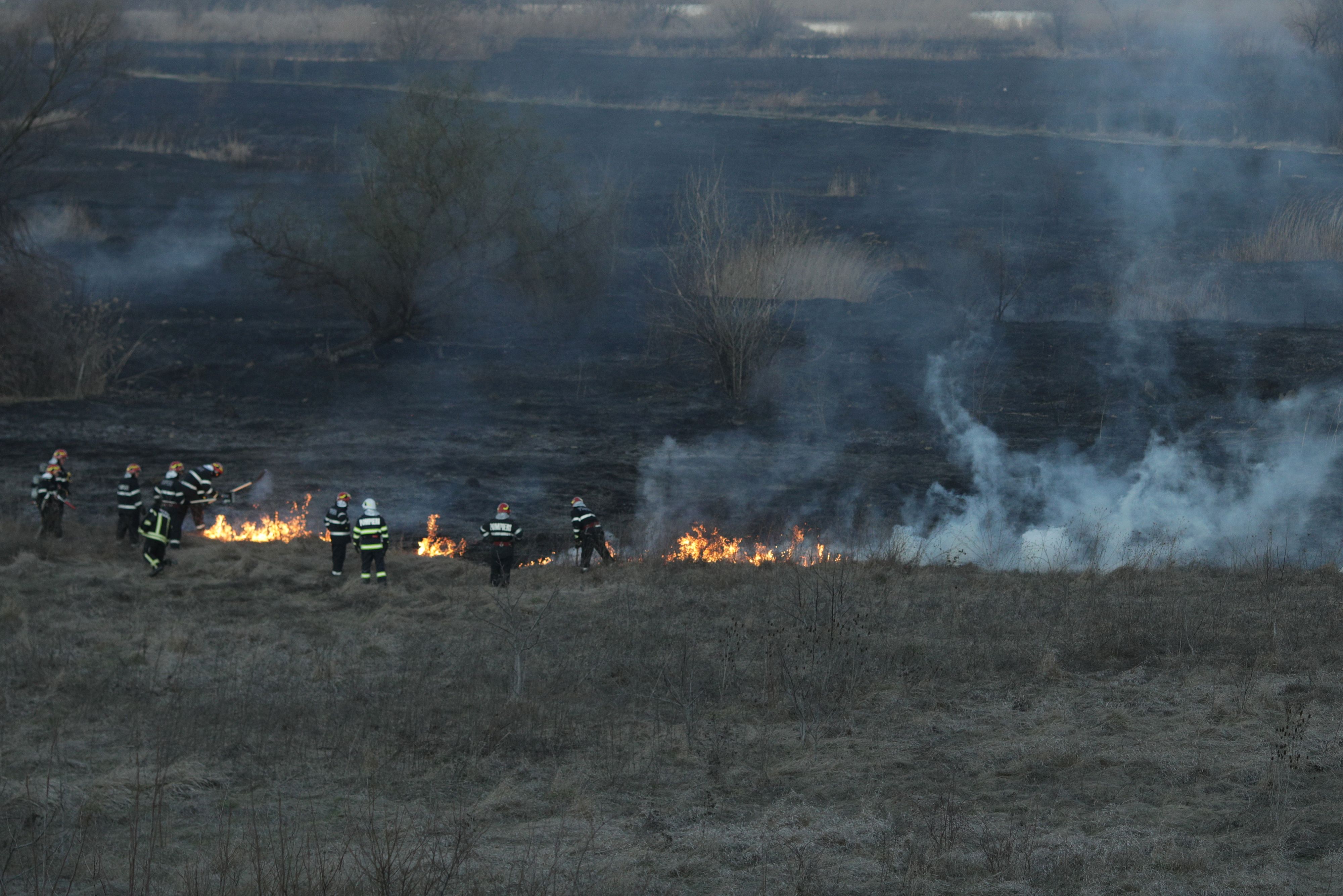 Ministrul Agriculturii: Cei care își incendiază terenurile agricole vor pierde subvențiile. Nu fac altceva decât să îşi distrugă solul