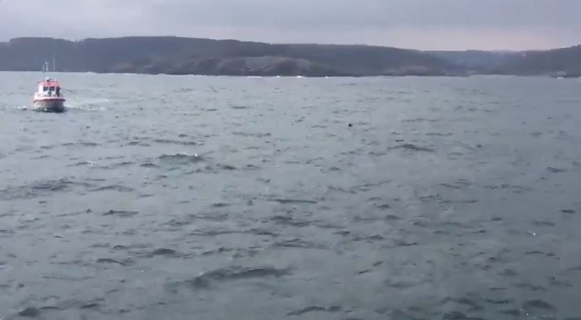 Turcia a descoperit încă o mină în Marea Neagră, în apropiere de granița cu Bulgaria