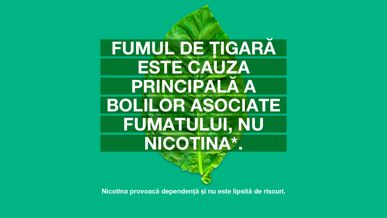 Nicotina: „mituri” și realitate în legătură cu fumatul