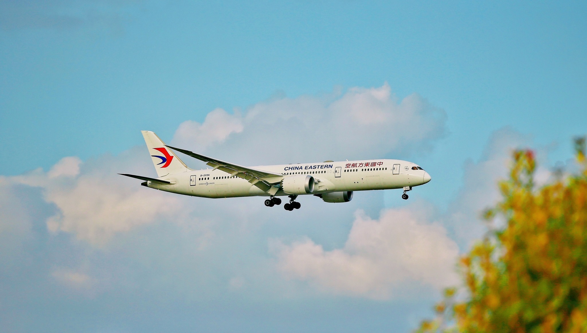 Avion cu peste 130 de oameni la bord, prăbușit în China VIDEO