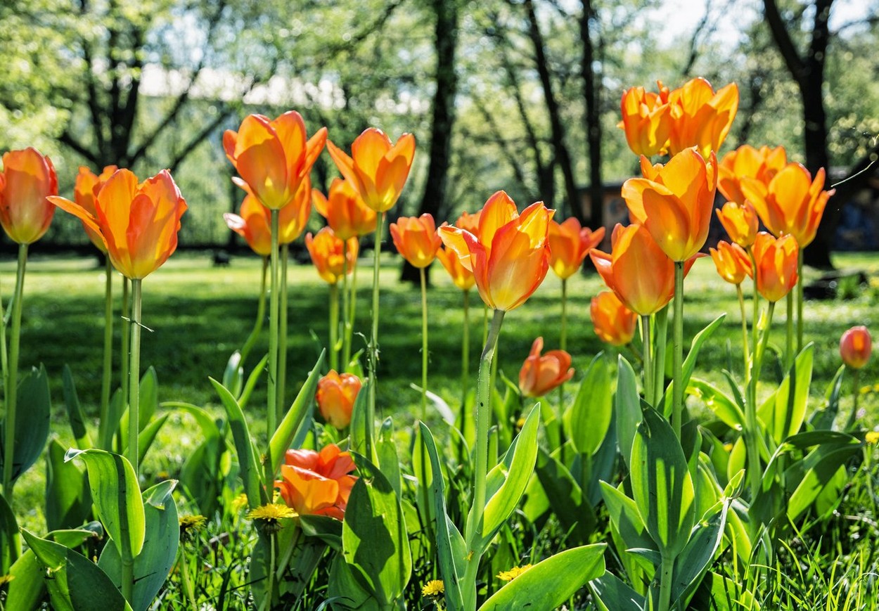 Prognoza meteo pentru perioada 18 aprilie - 1 mai. Cum va fi vremea de Paște și de 1 Mai