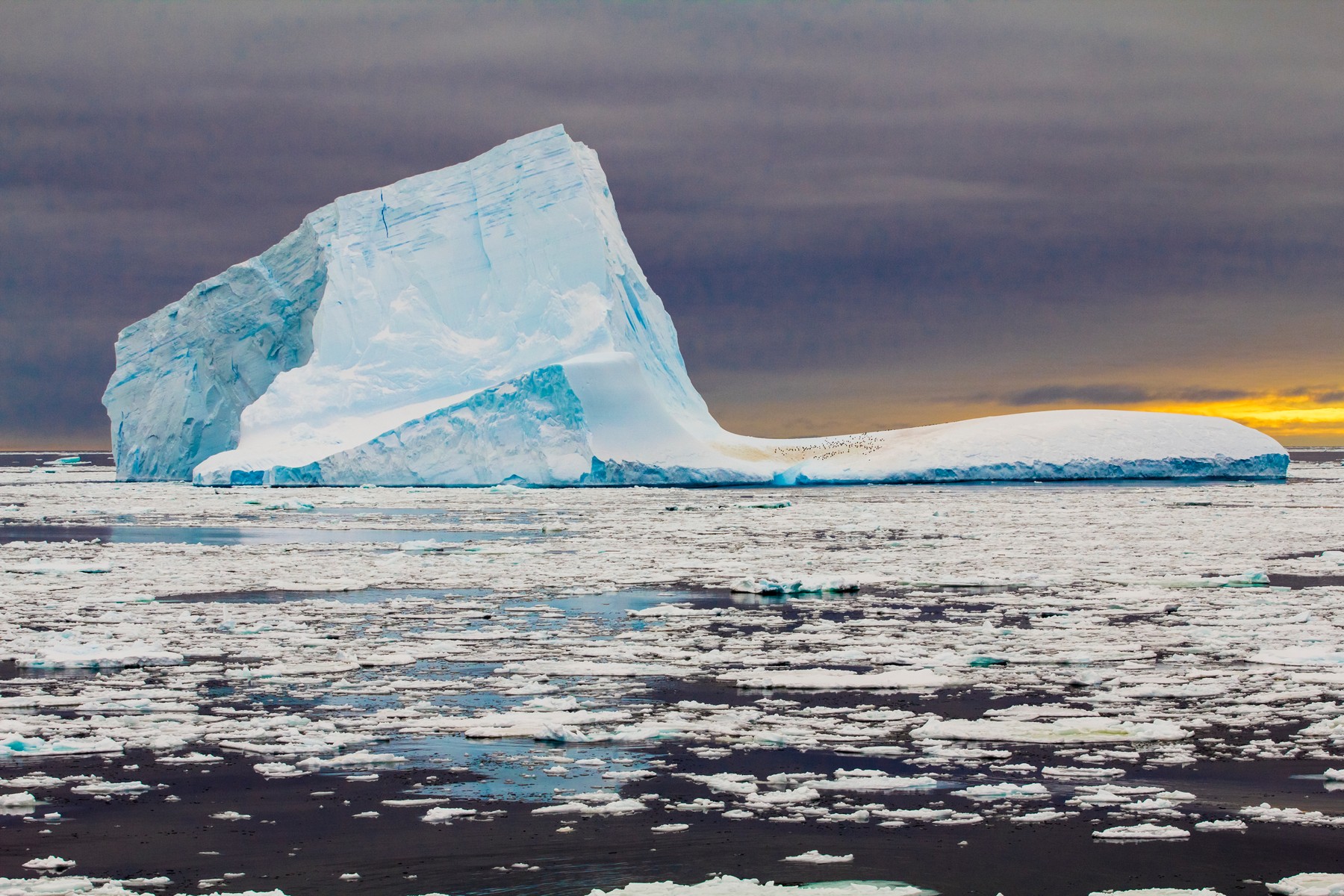 Regiuni ale ambilor poli au înregistrat temperaturi extreme. În estul Antarcticii a fost cu 30 de grade mai cald decât normalul