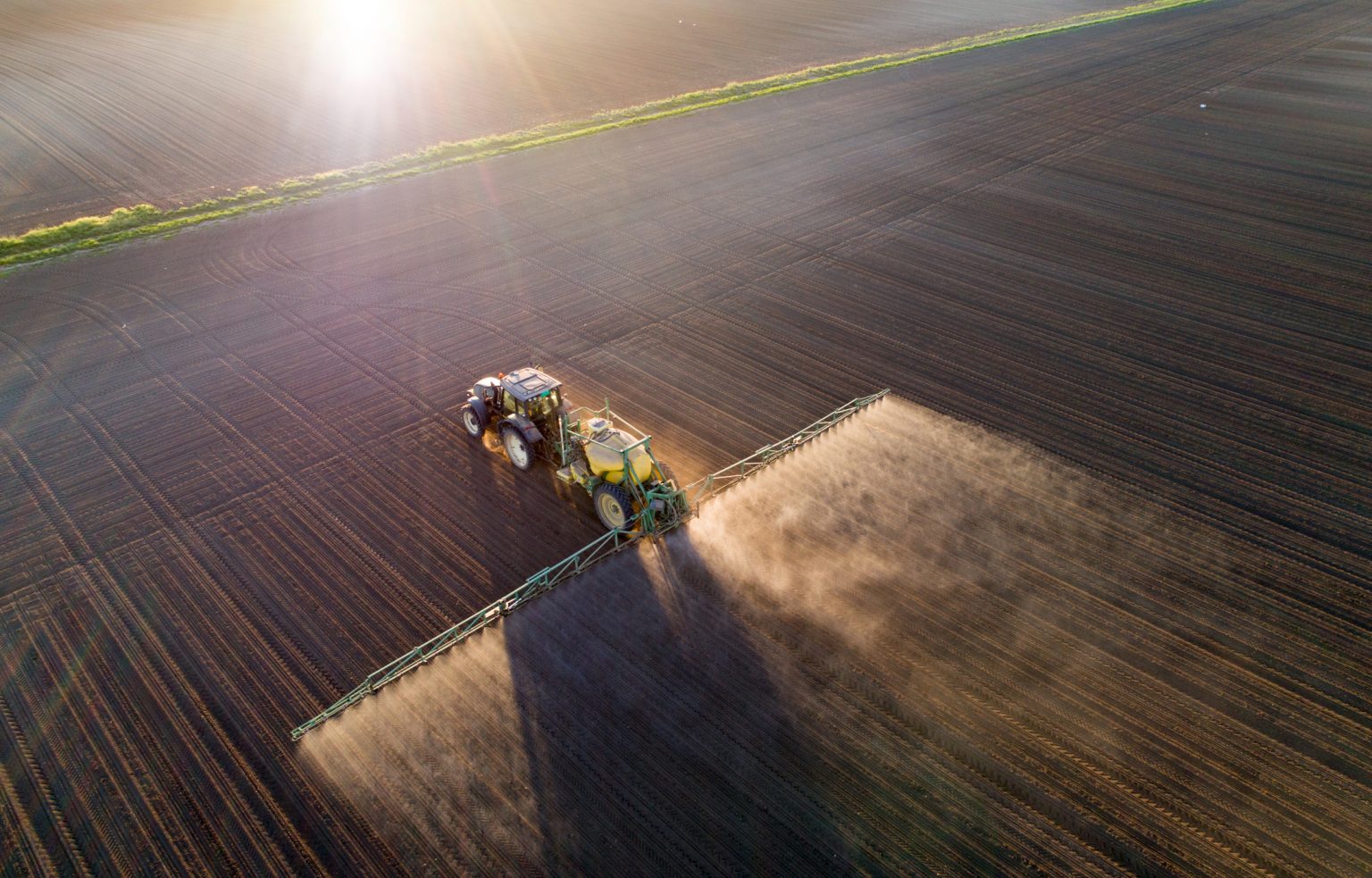 Comisia Europeană propune ca fermierii pensionari să nu mai primească subvenții. Reacția ministrului Agriculturii