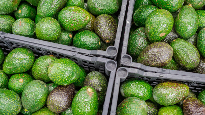 Morelia, Mexico. 16th Mar, 2022. Avocados lie in a crate after being packed in a factory. Avocados are one of the most lucrative commodities for Mexican growers. In 2021, the U.S. imported 1.2 million tons of avocado for about three billion dollars, accor