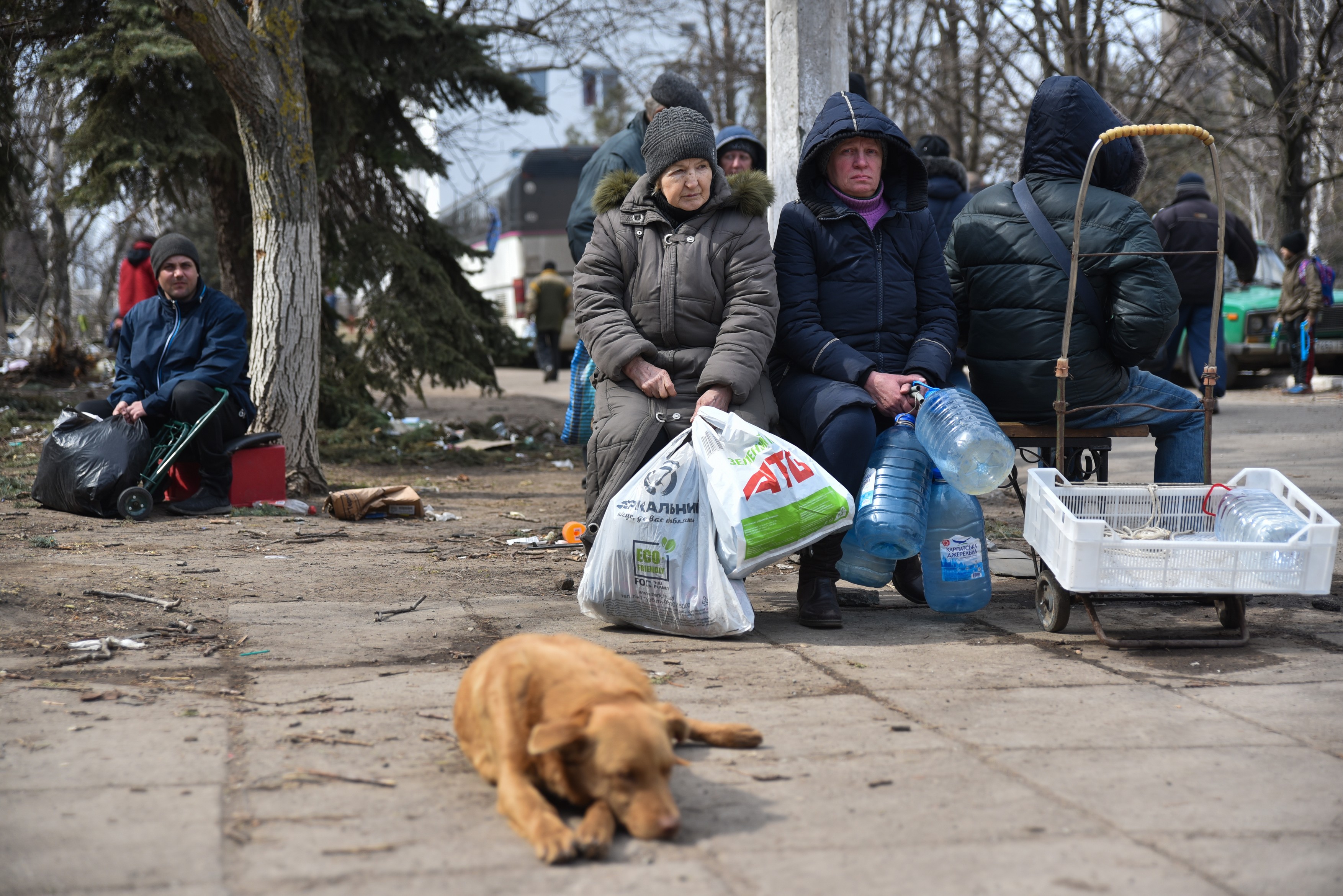 Peste 7,1 milioane de ucraineni și-au părăsit casele de la începutul războiului (Organizaţia Internaţională pentru Migraţie)
