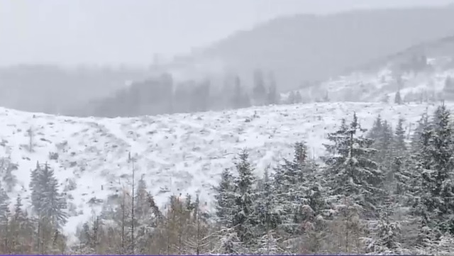 Început de aprilie cu ninsori abundente la munte. Imagini din Maramureș, unde stratul de zăpadă se apropie de 30 de centimetri