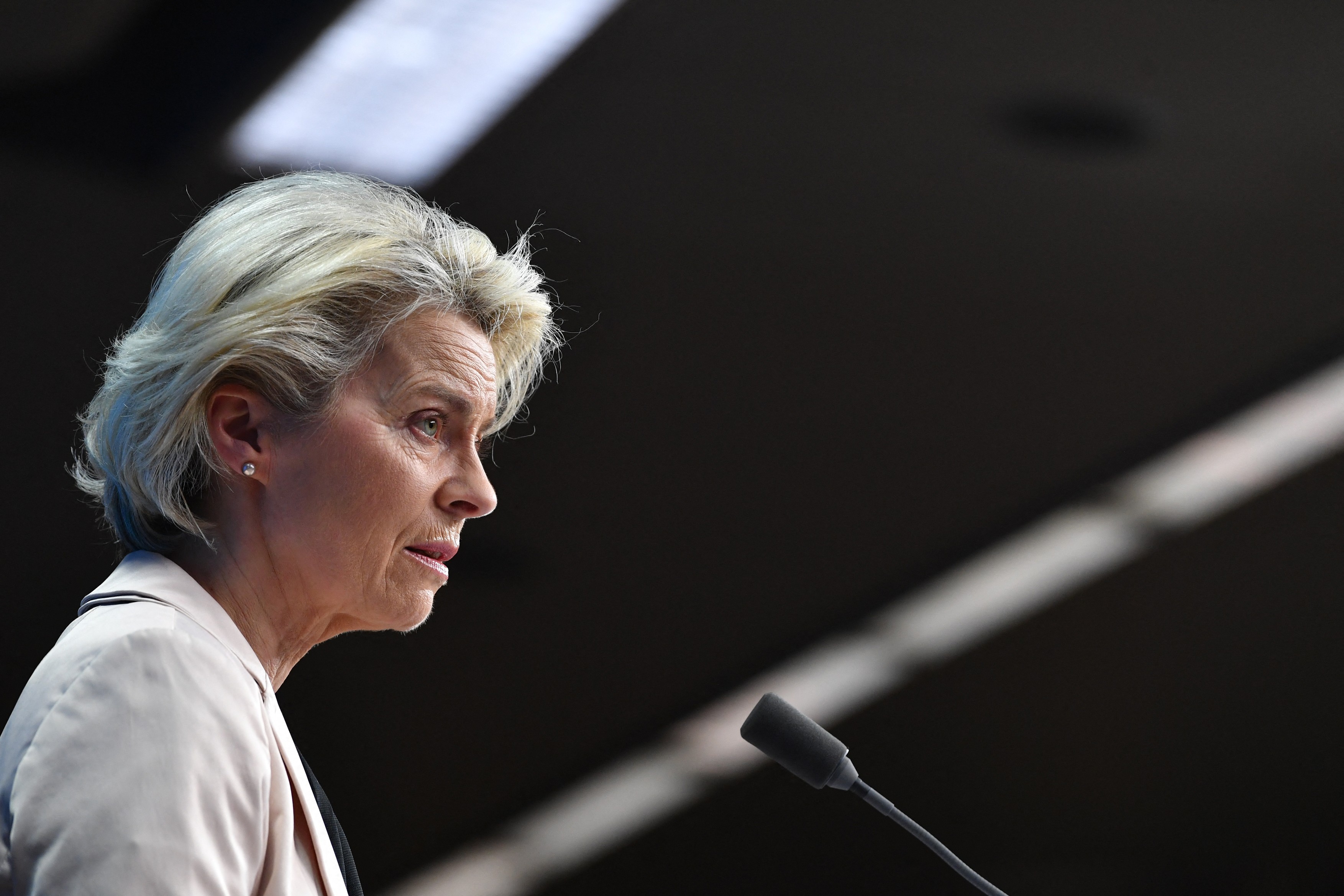 Von der Leyen și Zelenski au vorbit despre masacrul de la Bucha. Comisia Europeană a înființat o echipă de anchetă