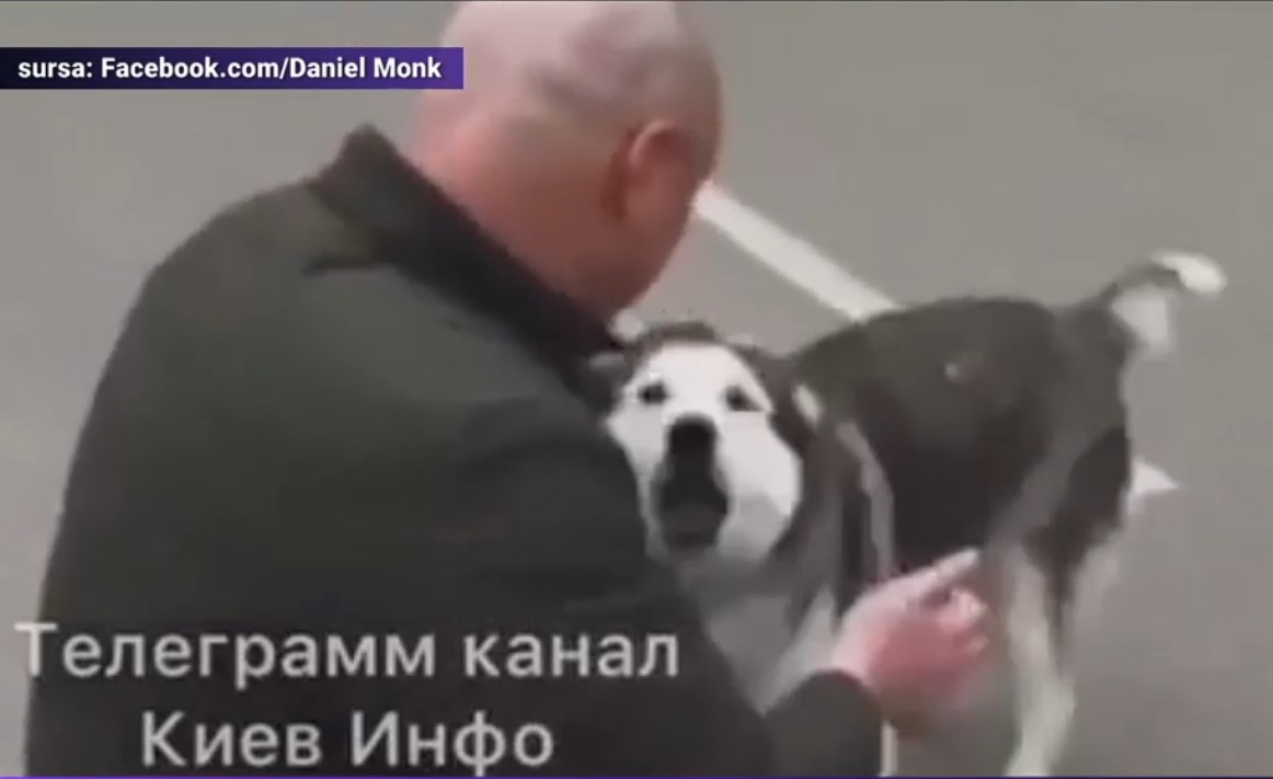 VIDEO. Revedere emoționantă între un câine și stăpânul său, refugiat din Bucha