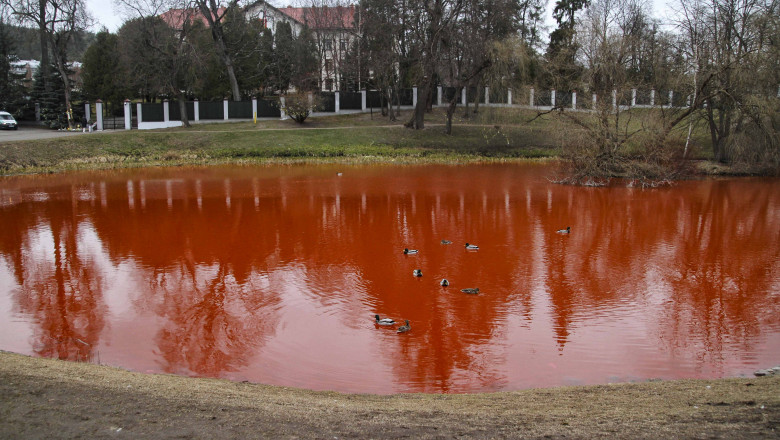 lac colorat la vilnius in semn de protest