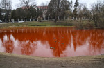 lac-rosu-vilnius-inquam-adriana-neagoe1