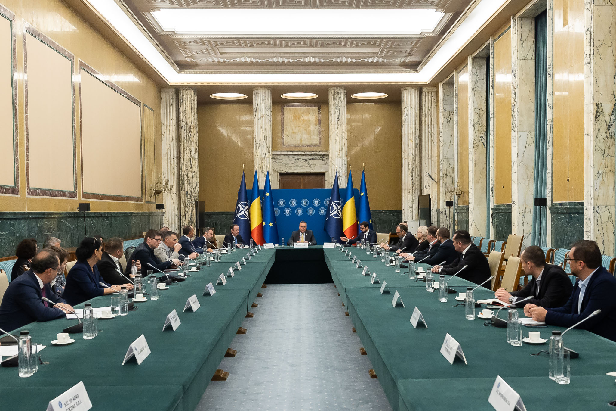 Nicolae Ciucă a îndemnat fermierii să crească suprafețele cultivate cu floarea-soarelui și producția de ulei