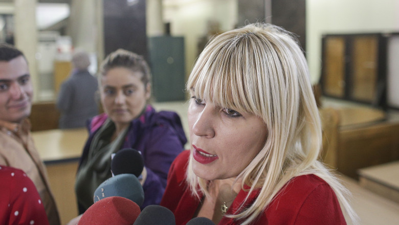 elena udrea face declaratii reporterilor la inalta curte