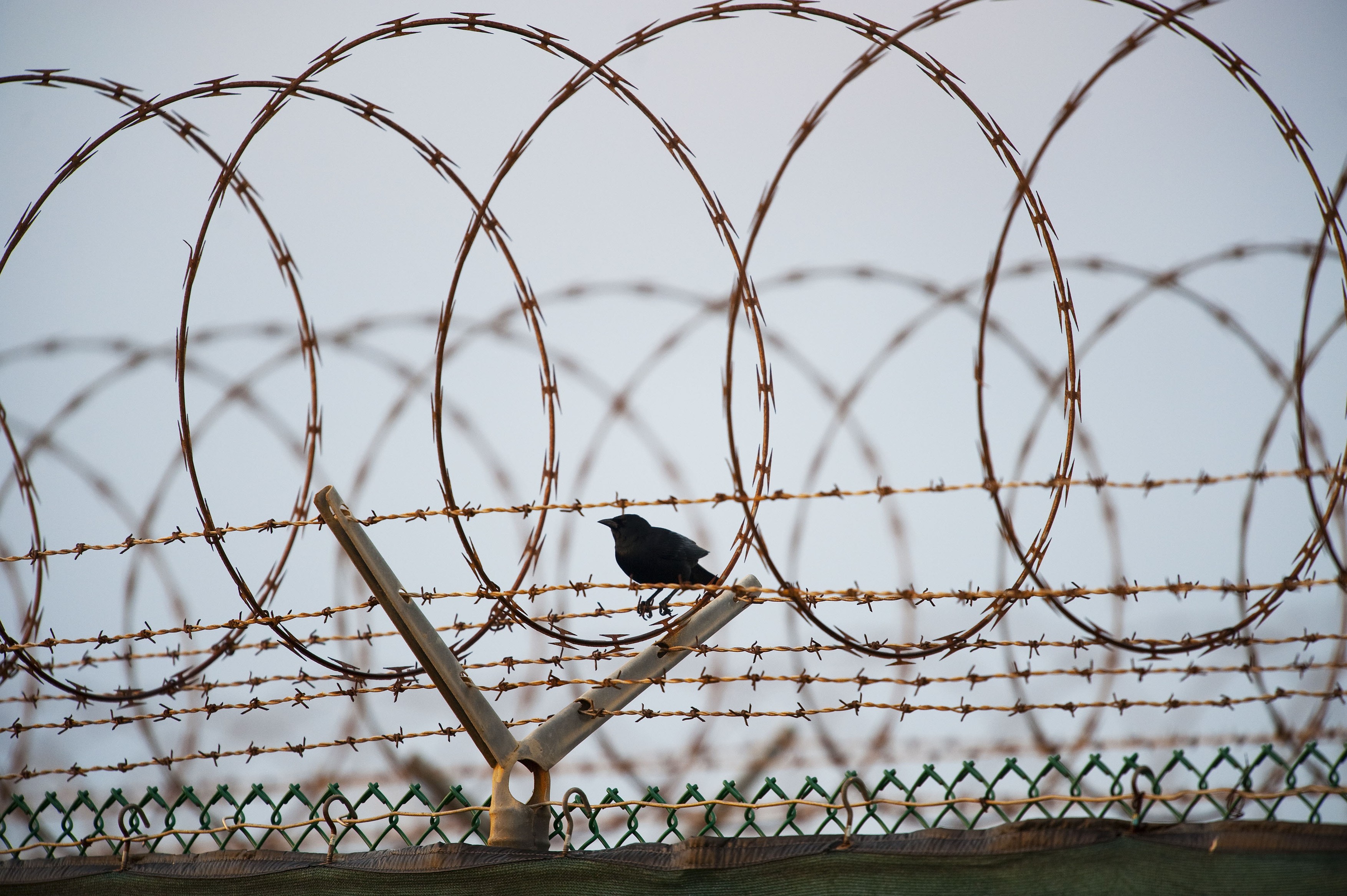 SUA au eliberat un deţinut care se afla de 20 de ani închis la închisoarea militară din Guantanamo