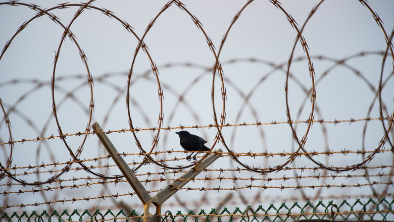 Cuba, Guantanamo Bay, a bird pauses along the barb wire fence surrounding Camp Delta