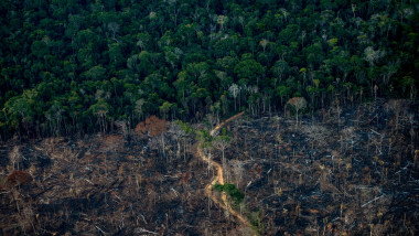 Defrișări pădure Amazon