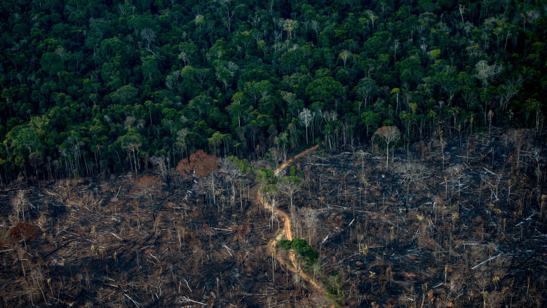 Defrișări pădure Amazon