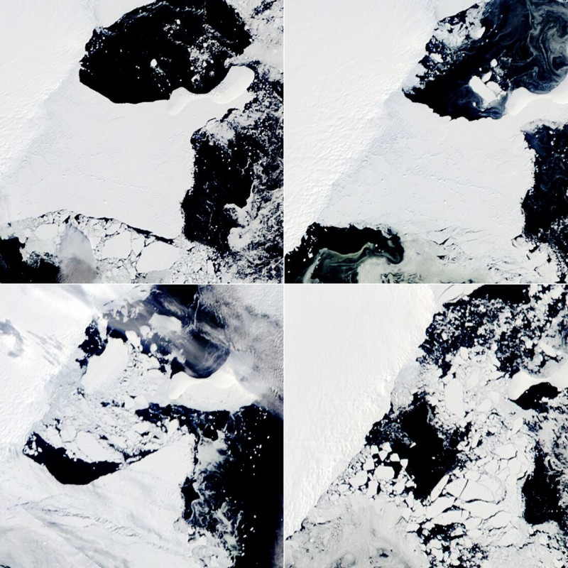 „Râurile din cer” sunt de vină pentru prăbușirea platformelor galciare din Antarctica